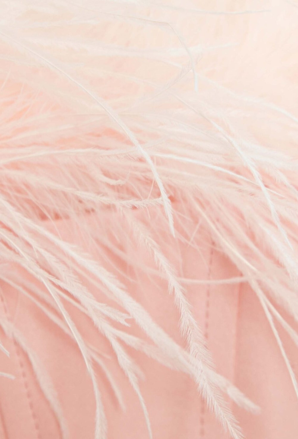 Корсет со съёмным пером Adele - фото 115454