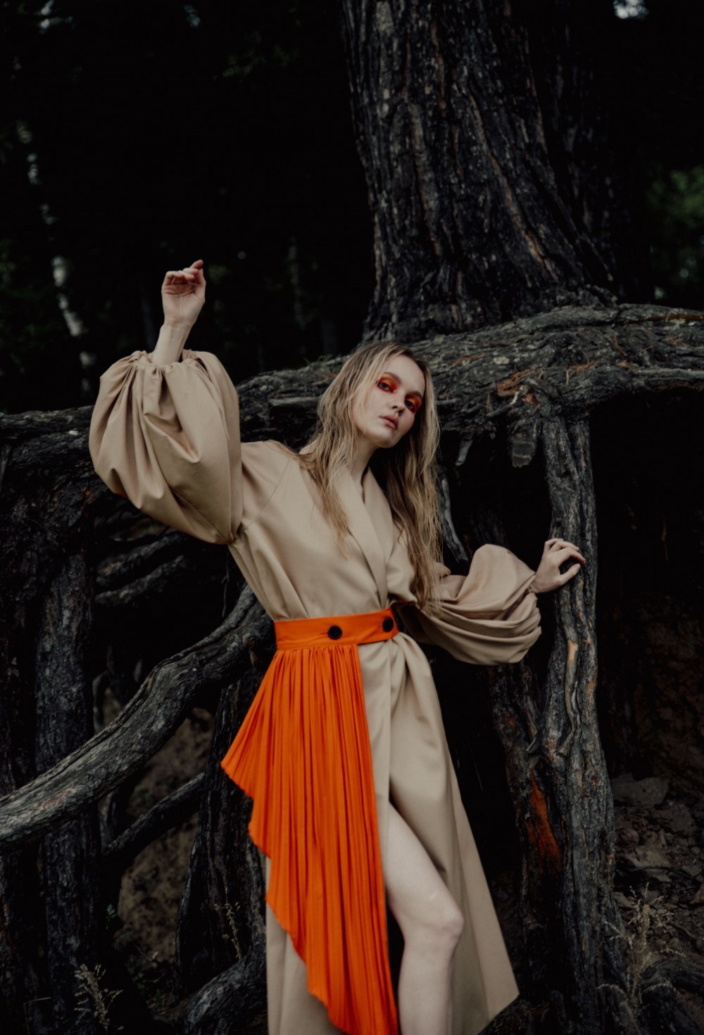 Пояс Фрея - фото 117910