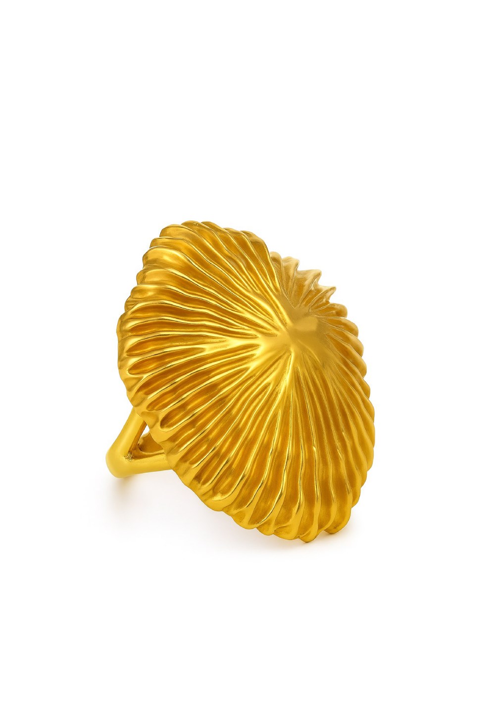 Морской ёж - фото 128603