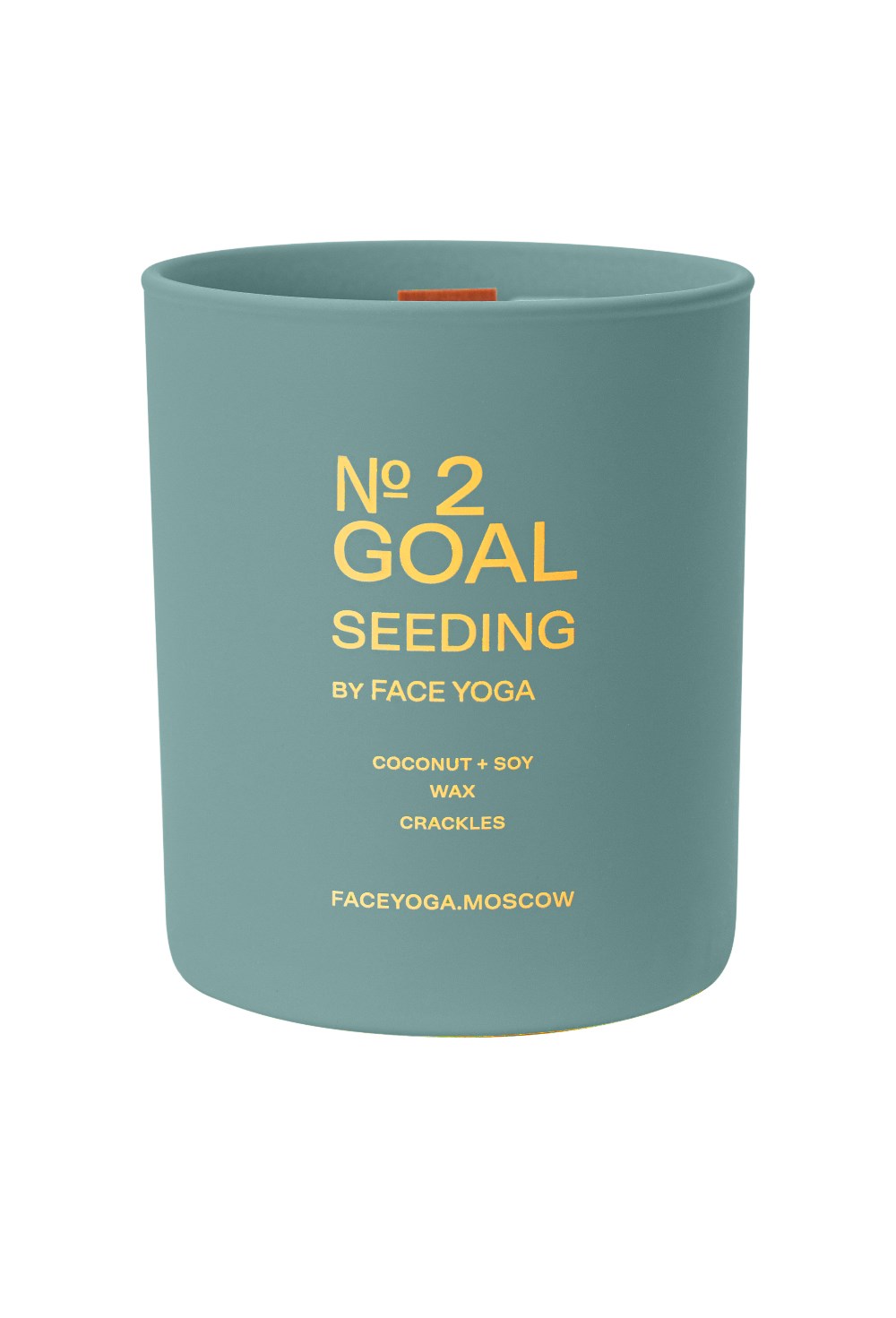 Свеча-практика Goal Seeding - фото 130688