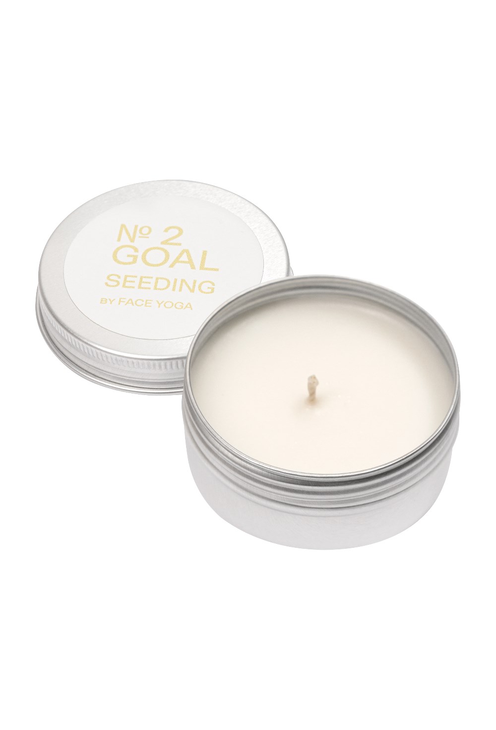 Свеча-практика Goal Seeding мини - фото 130709