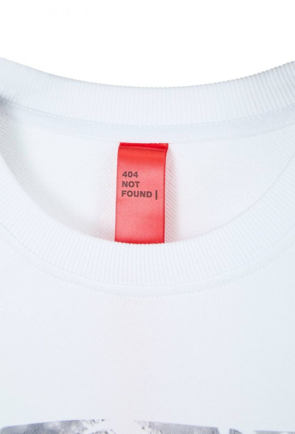 лонгслив LADY WITH A DOG - фото 130945