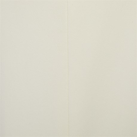 Брюки TRIPLE CLASSIC - фото 36893