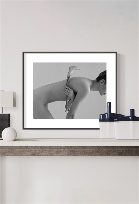 Фотография Close-Up - фото 39152 Фотография Close-Up - фото 39152