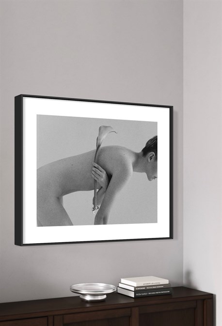 Фотография Close-Up - фото 39153 Фотография Close-Up - фото 39153