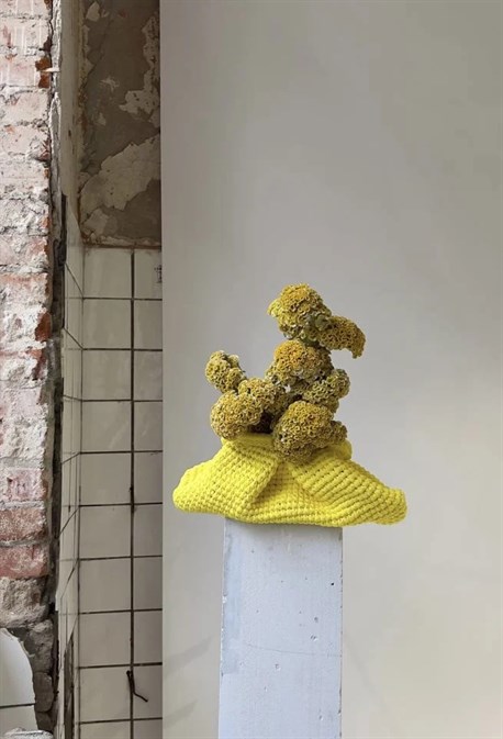 Клатч-финик - фото 58979