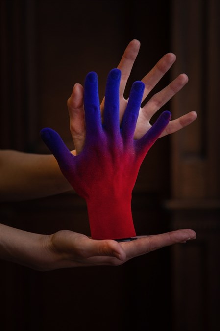 Объект "Рука художницы", левая - фото 68066