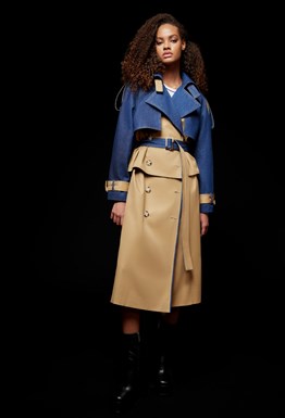 Тренч-трансформер