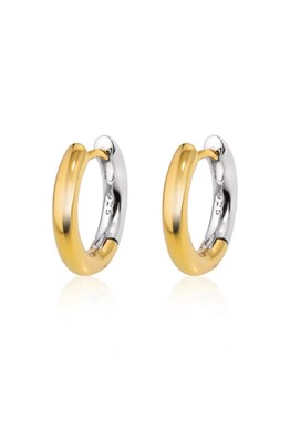 Earrings with a Phoenix bird
