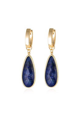 Congo earrings