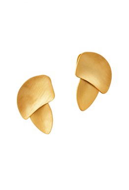 Листья манго