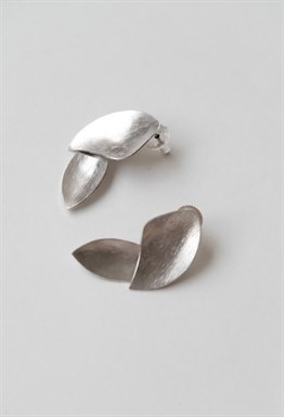 Листья манго