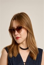 Очки HARRY 7 Tortoise - фото 100135