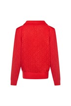 Джемпер-поло AMOUR - фото 111887