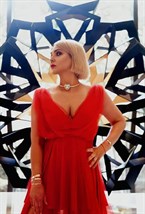 Hard Choker Tiger Gold - фото 122494