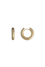 Hoops Gold - фото 123571