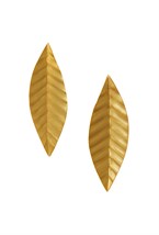 Лавровый лист - фото 128609