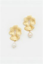 Жемчужный лавр - фото 128648