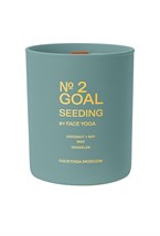 Свеча-практика Goal Seeding - фото 130688