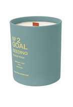 Свеча-практика Goal Seeding - фото 130689