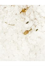 Соль для ванн с ромашкой для релаксации Savasana Bath Crystals - фото 130728