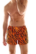 Мужские шорты Tiger - фото 29745