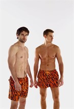 Мужские шорты Tiger - фото 29748