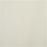 Брюки TRIPLE CLASSIC - фото 36893