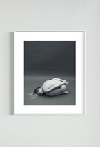 Фотография Rebirth - фото 39155 Фотография Rebirth - фото 39155