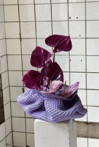 Клатч-финик - фото 58972