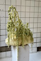 Клатч-финик - фото 59028