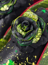 Чукка Неон - фото 81159