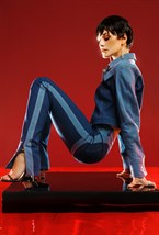 Джинсы с акцентом на ягодицах - фото 84217