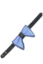 Бабочка в голубом - фото 87301