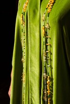 Аркан - фото 89104