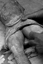 Фиугрка Gladiator - фото 90864