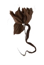 Брошь Рождение Венеры - фото 94761