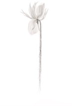 Брошь Лилия с каллиграфией - фото 94781