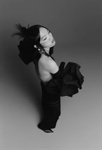 Перчатки Swan - фото 99146